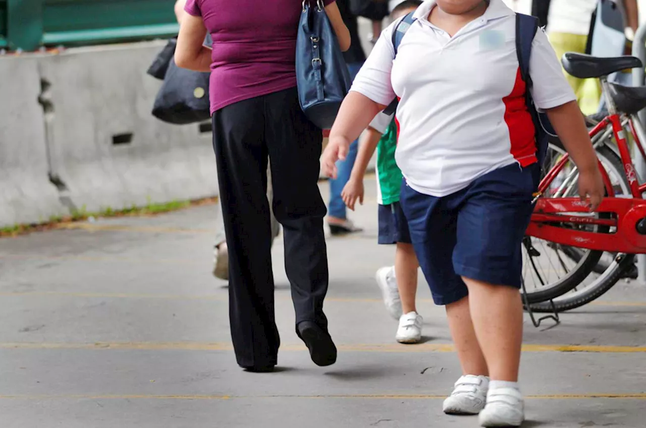 INTERACTIVE: More than half of Malaysia’s children at risk of obesity