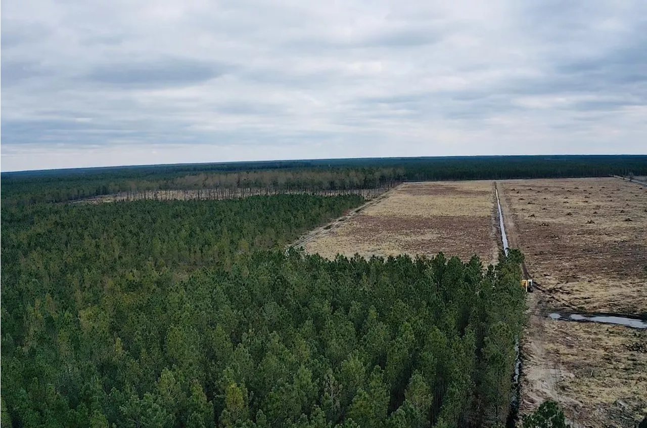 Projet de forages d’eau dans le Médoc : « Nous n’avons pas autorité pour passer en force »