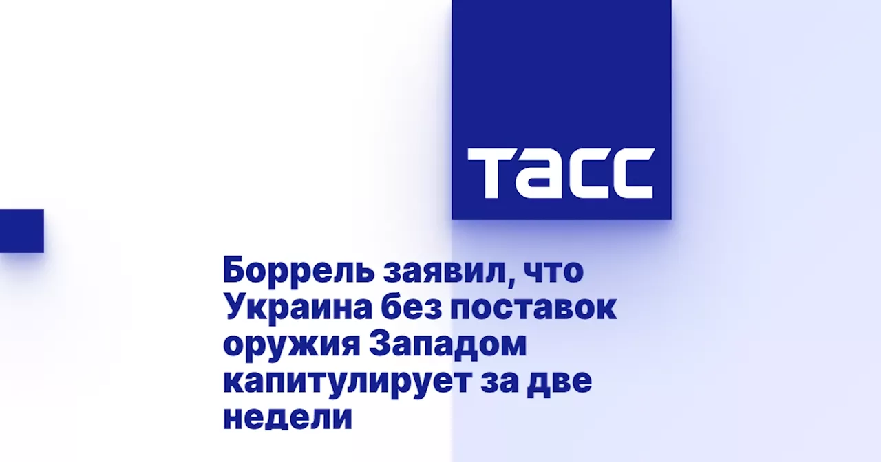 Боррель заявил, что Украина без поставок оружия Западом капитулирует за две недели