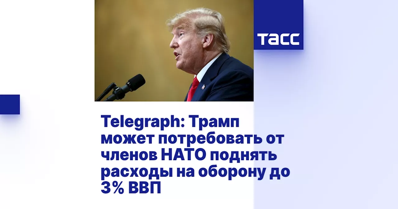 Telegraph: Трамп может потребовать от членов НАТО поднять расходы на оборону до 3% ВВП