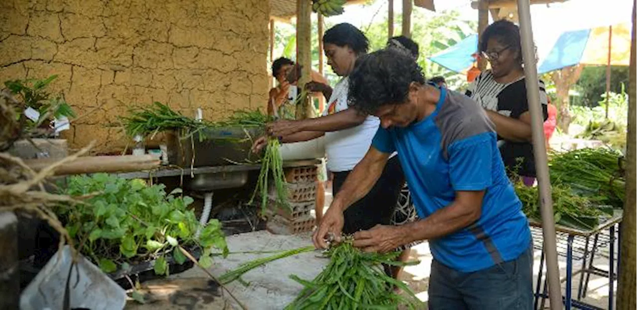 País tem 1,3 milhão de quilombolas e 13% vivem em área demarcada, diz IBGE