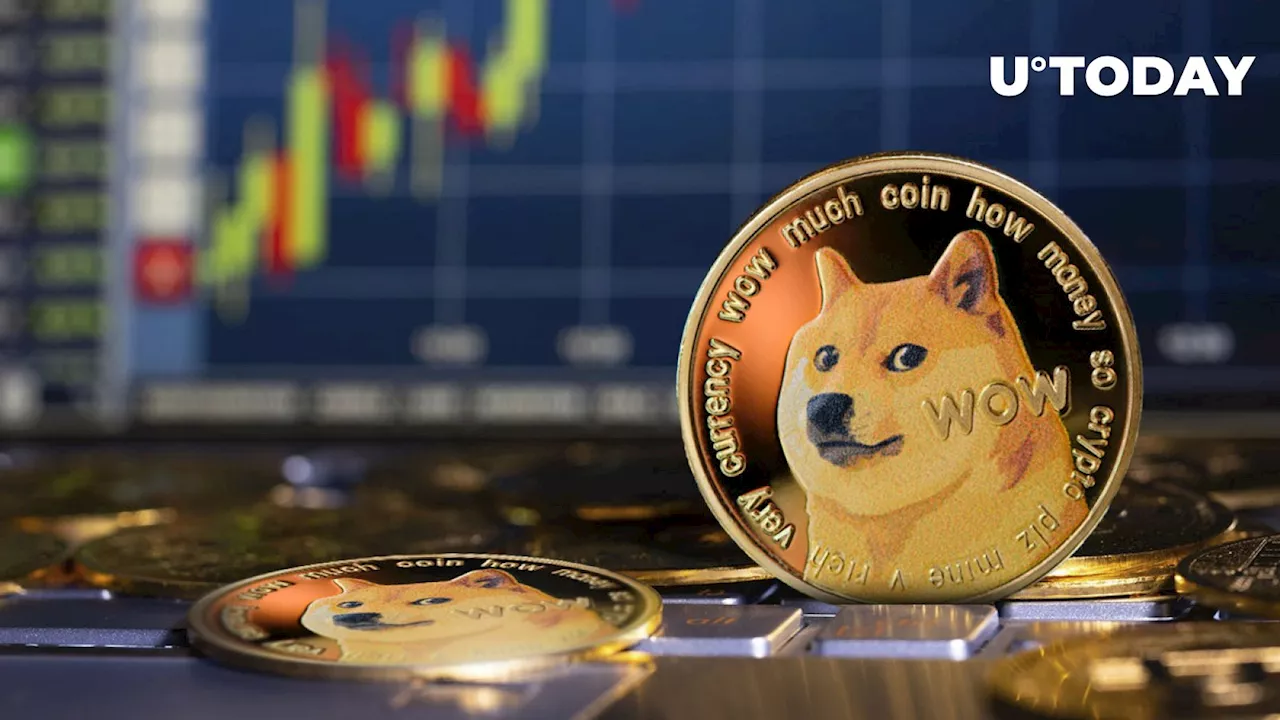 Dogecoin Outperforms XRP, ADA in Crucial Metric in Past 6 Months: Report