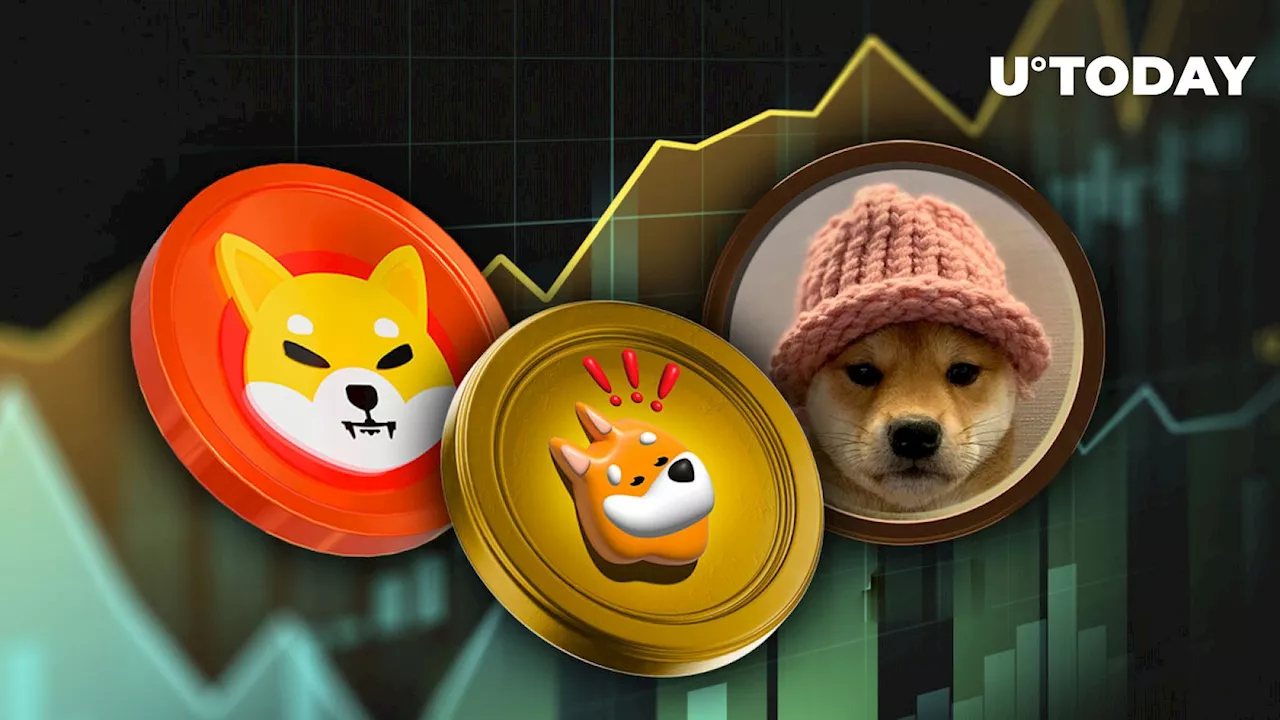 SHIB, BONK, WIF's Sudden Price Jumps; What's Behind Them?