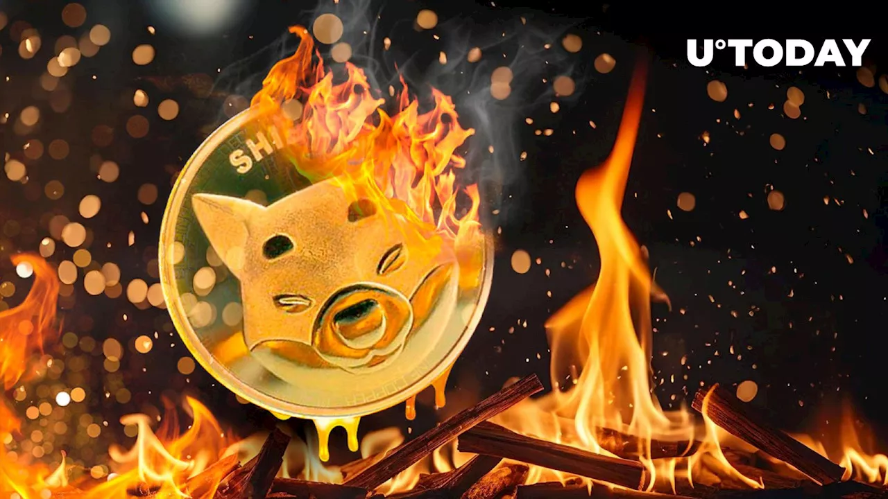 SHIB Burns on Fire After Shiba Inu Team Performs Hard Fork