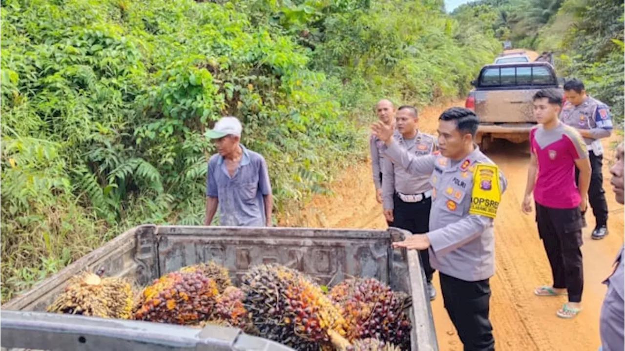 Pencurian TBS Kelapa Sawit Makin Marak, Gapki: Ganggu Iklim Investasi