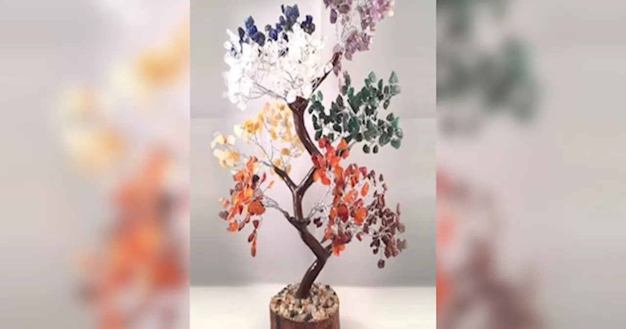 Crystal Tree Vastu: घर की इन दिशाओं में क्रिस्टल ट्री लगाने से आर्थिक तंगी होगी दूर, दांपत्य जीवन होगा खुशहाल