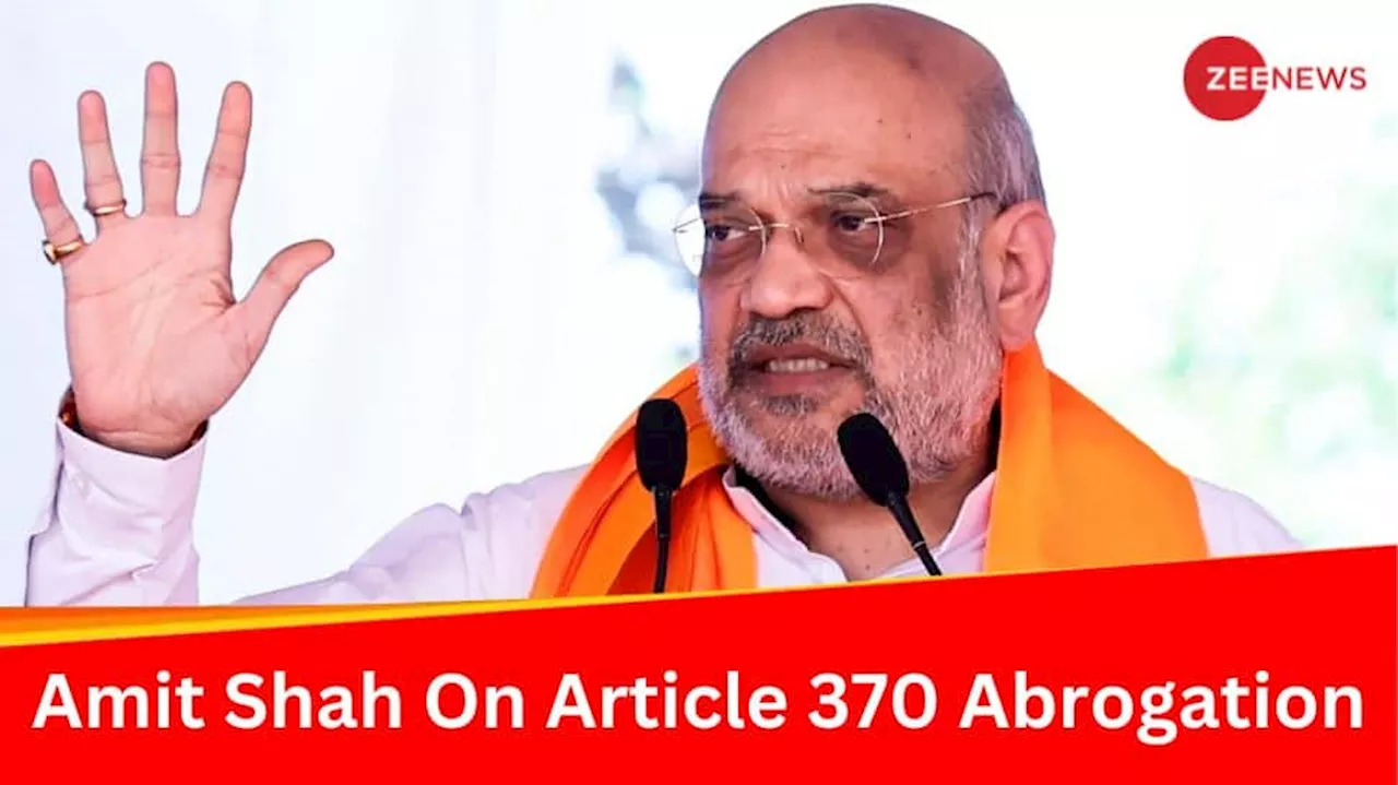 ‘Nobody Has Guts To Pelt Stones...’: Amit Shah Refutes Rahul Gandhis Prediction On Kashmir Post Article 370 Abrogation