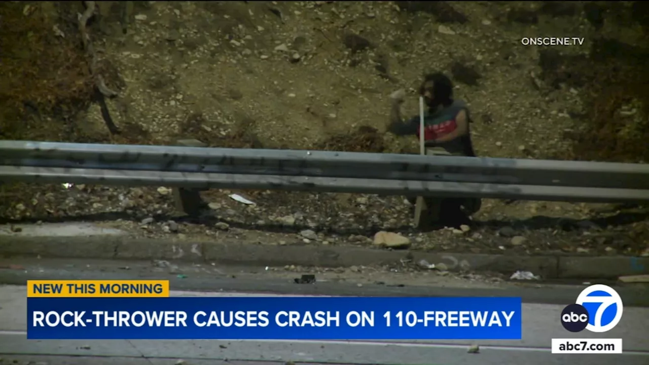 Man throws rocks onto 110 Freeway, causing motorcyclist to crash in DTLA, video shows