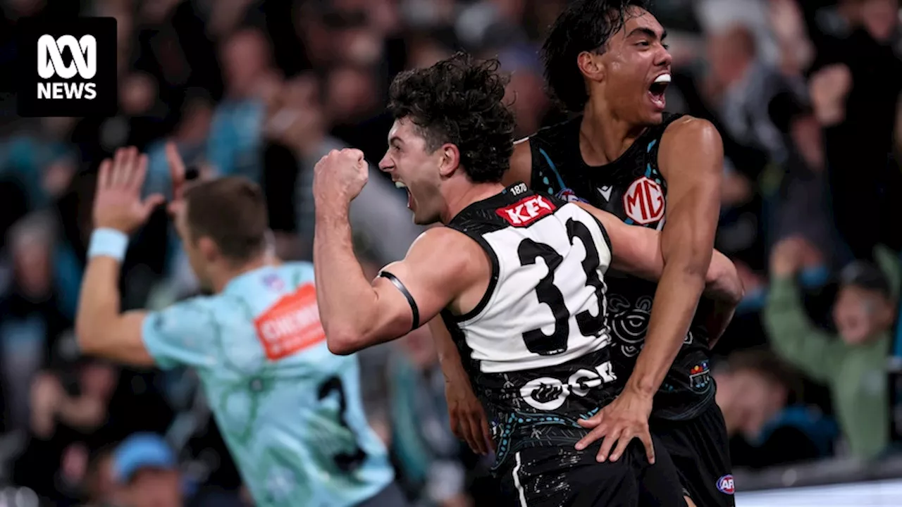 Live Blog: AFL round 12 Port Adelaide vs Carlton live updates — blog ...