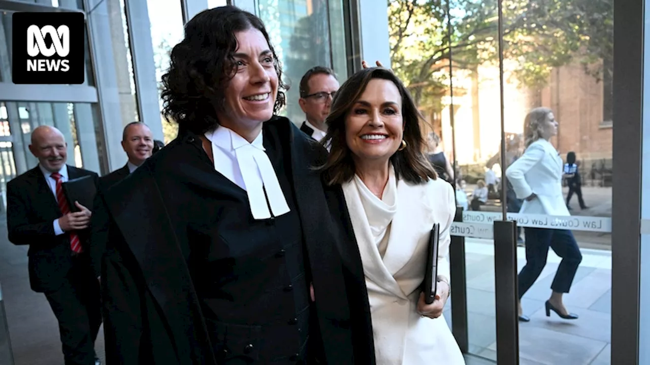 Federal Court documents reveal Lisa Wilkinson billed $8,000 per day in court during Bruce Lehrmann's failed defamation trial