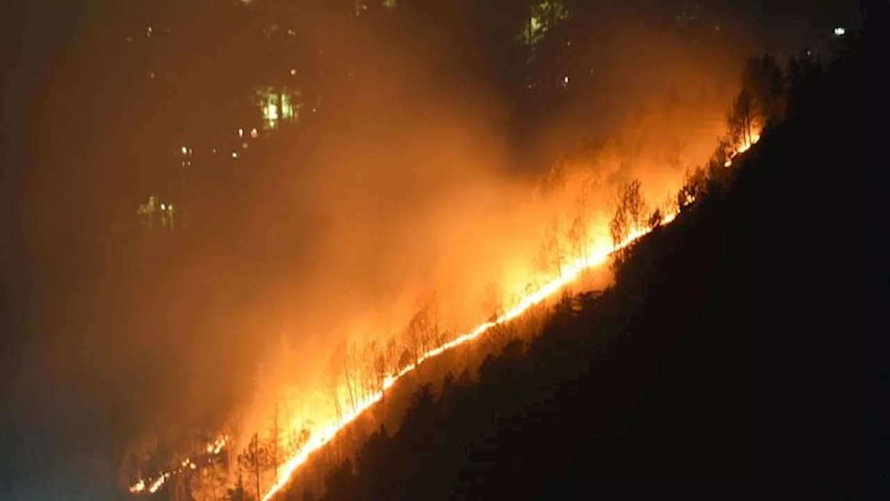 Forest Fire: हिमाचल में जंगल की आग आबादी तक पहुंची, घर दुकान और गोदाम जले...दो मौत; वनाग्नि के मामले 1000 पार