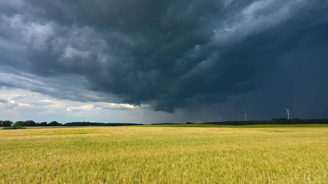 Lokal schwere Gewitter und Starkregen am Donnerstag