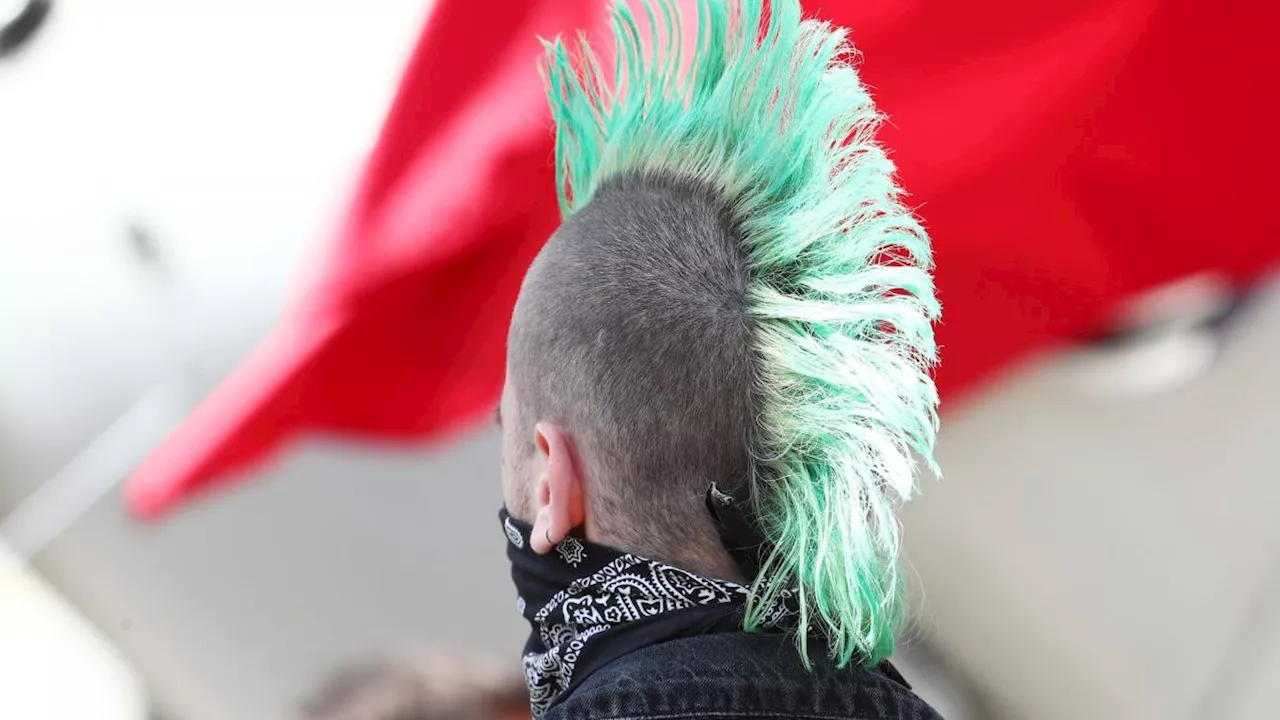 Punks planen am Wochenende Demos auf Sylt