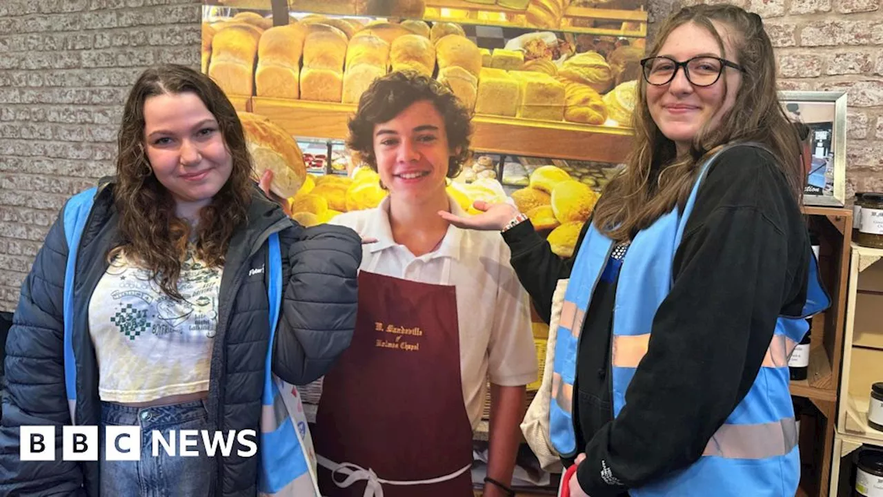 Harry Styles: Lovestruck fans flock to Holmes Chapel tours