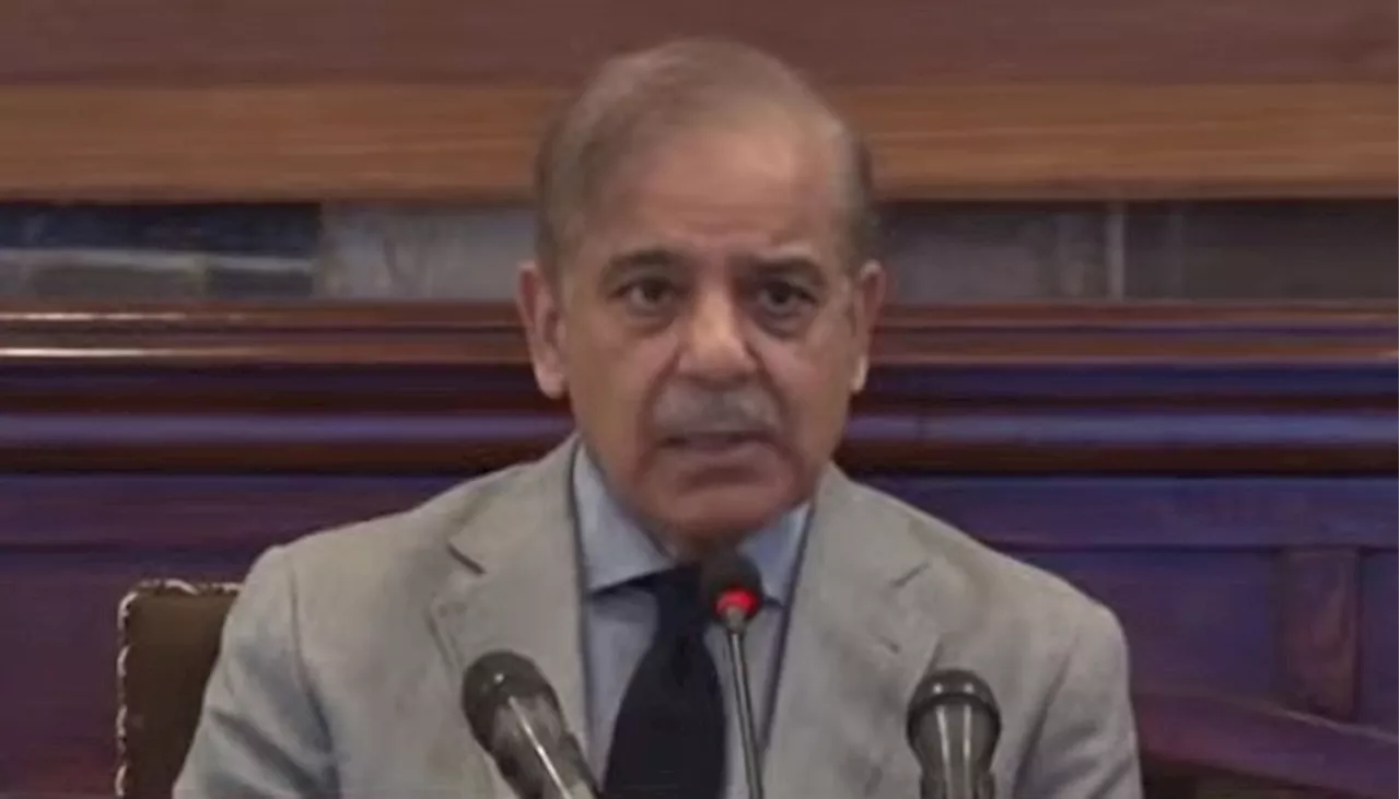 Court fixes contempt of court plea against PM Shehbaz