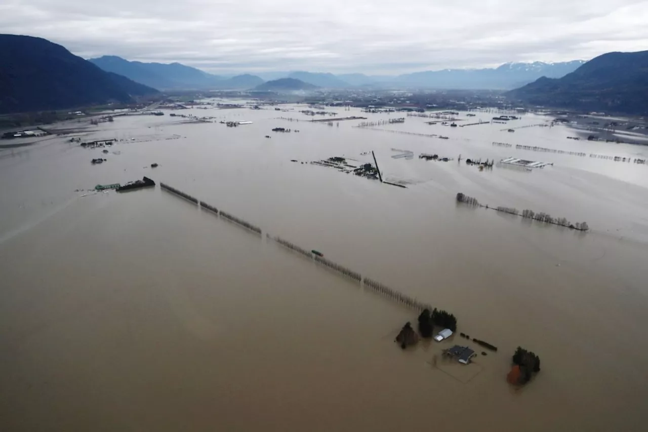 Court certifies flooding lawsuit against Abbotsford, B.C., as class action