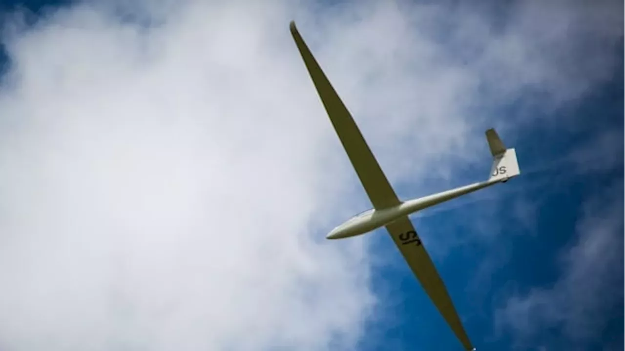 Pilot, 65, Dead After Glider Crash Near Diamond Valley | Canada | Head ...