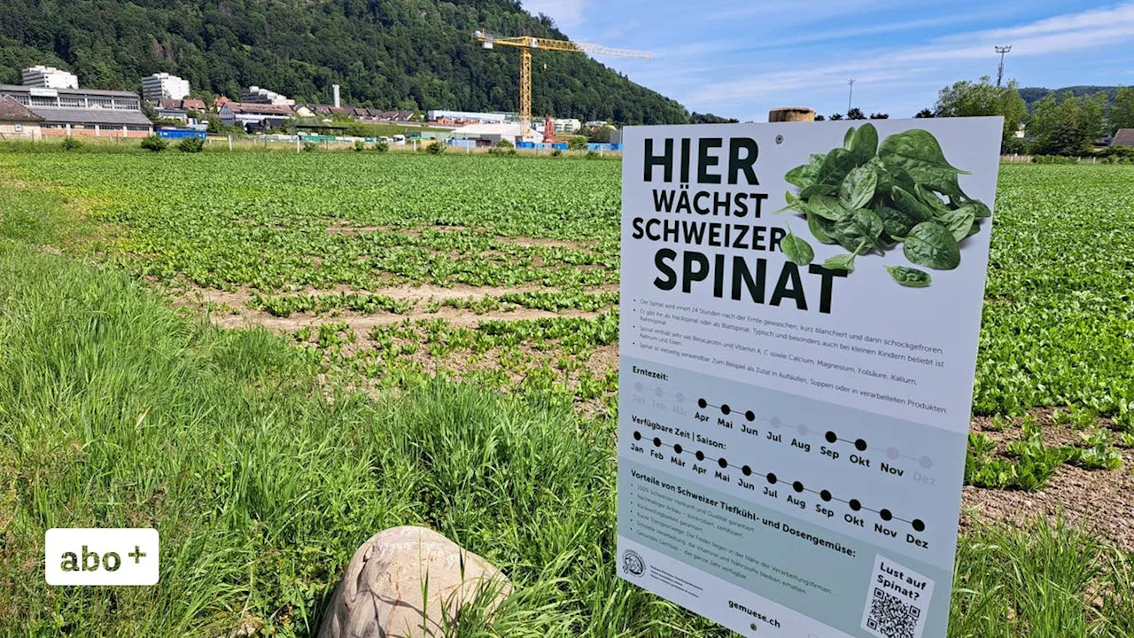 Umfahrungstunnel und Entwicklung Aufeld: Die Stadt Brugg kauft eine Parzelle nach der anderen