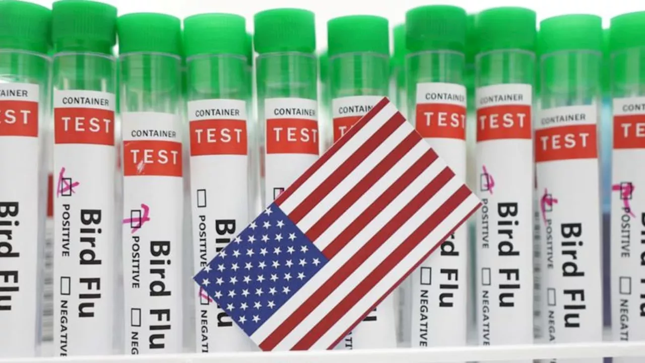 Michigan reports another person working with cows got bird flu