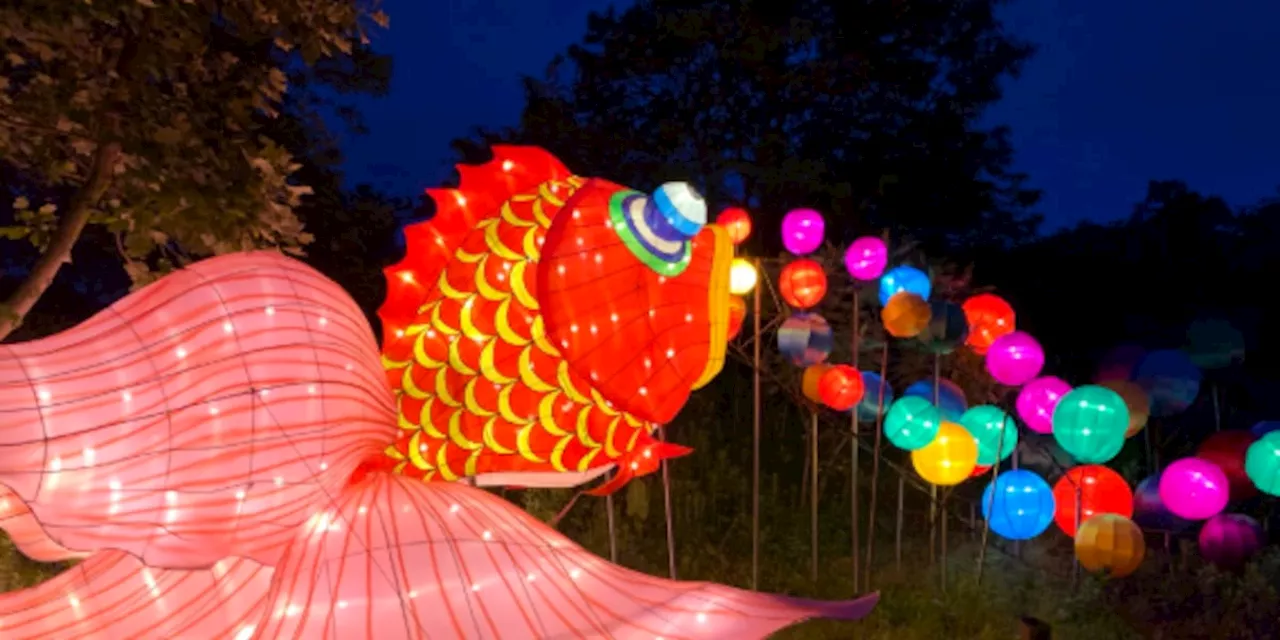 Asian Lantern Festival returns to Cleveland Metroparks Zoo