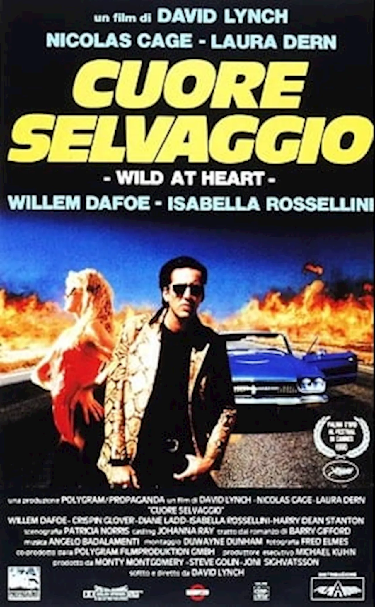 Cuore selvaggio - Film (1990)