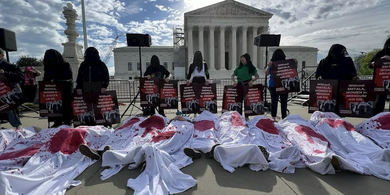 'All States Will Be Impacted' by US Supreme Court's Idaho Abortion Case