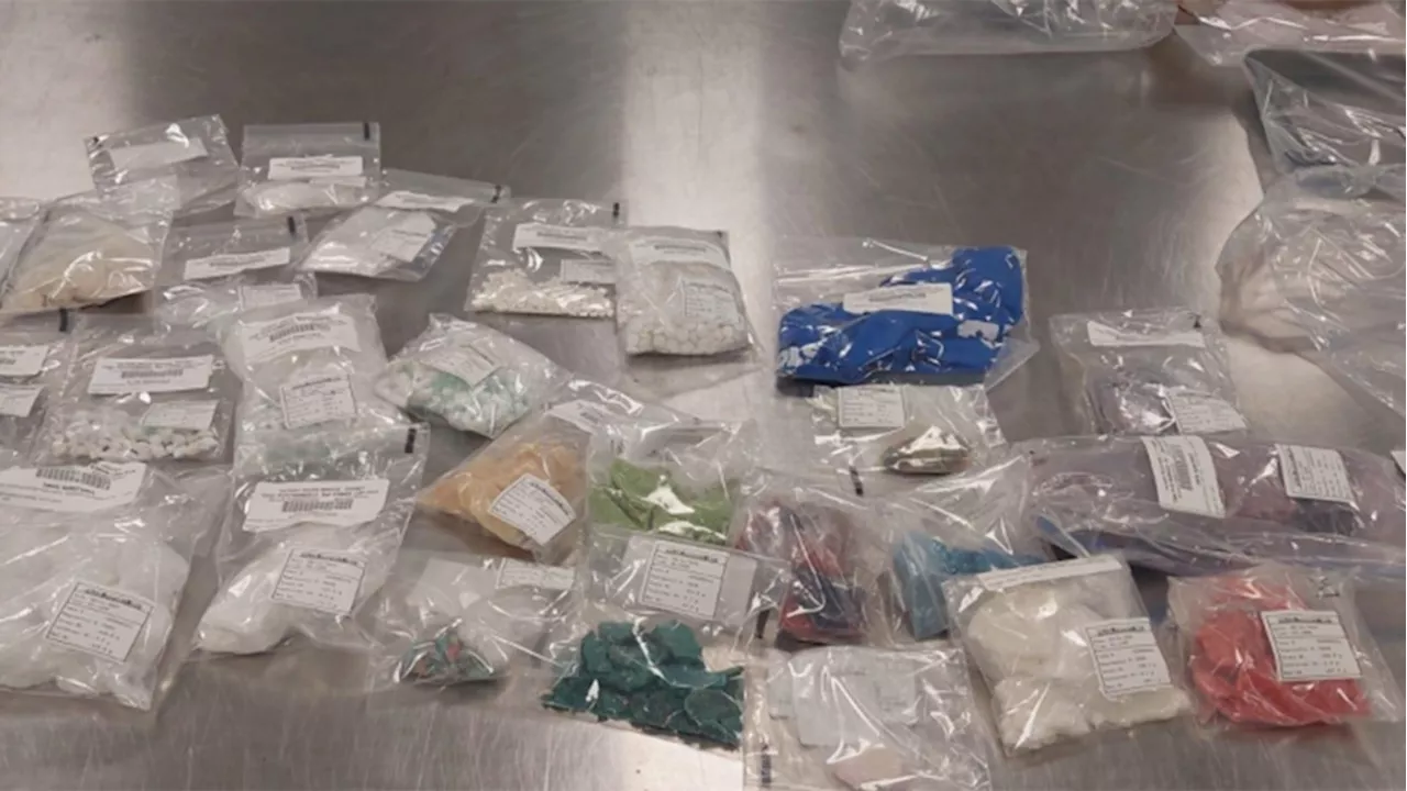 Four Calgarians charged in drug trafficking operation