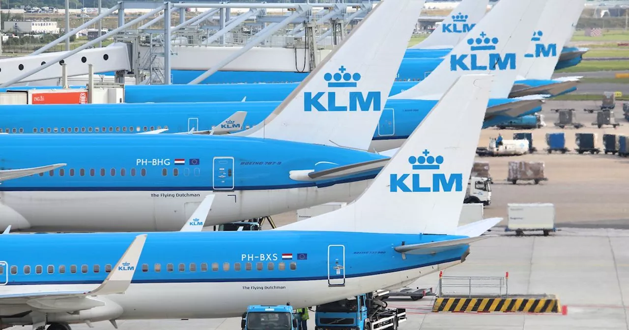 Tragic Amsterdam airport worker 'deliberately climbed into plane's engine'