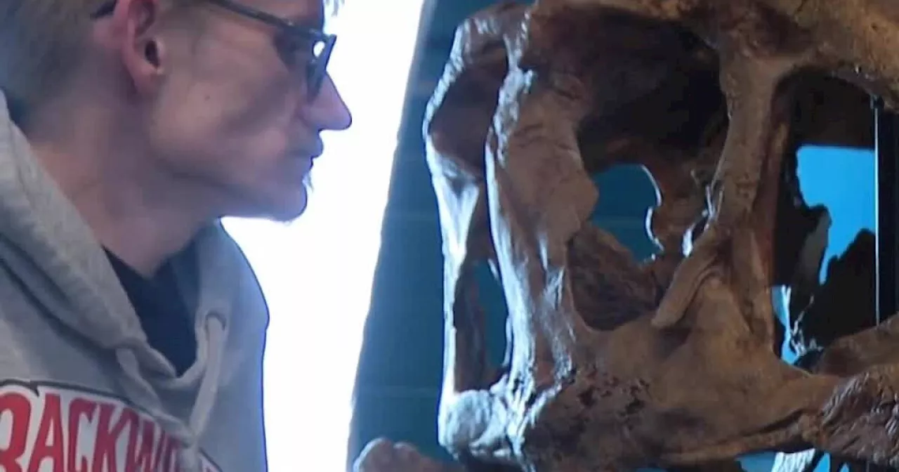 'Murder monster': Colorado scientists unveil 3D-printed skull of rare Tyrannosaur Wednesday