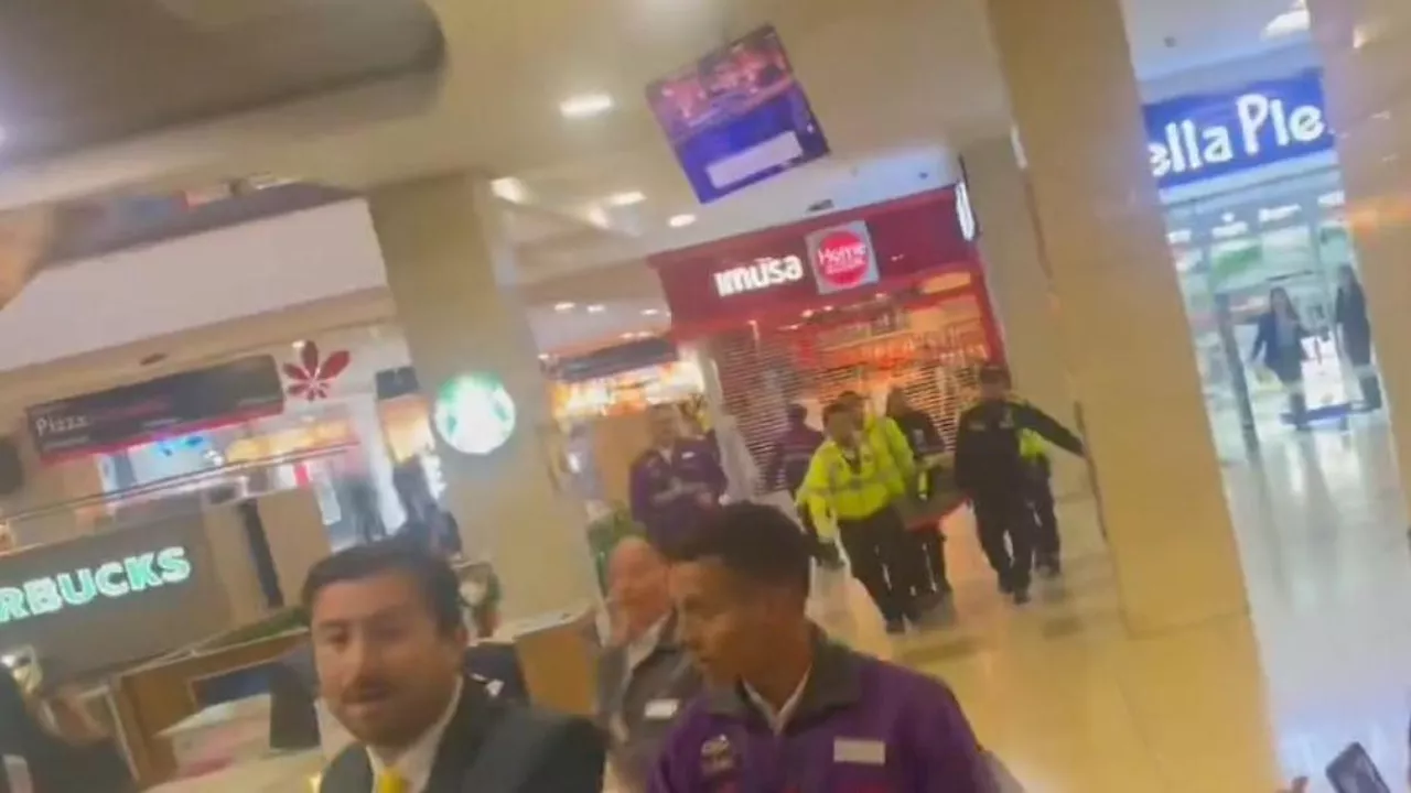 Ella era Stefanny Oquendo, la víctima de feminicidio en el Centro Comercial Santafé en Bogotá