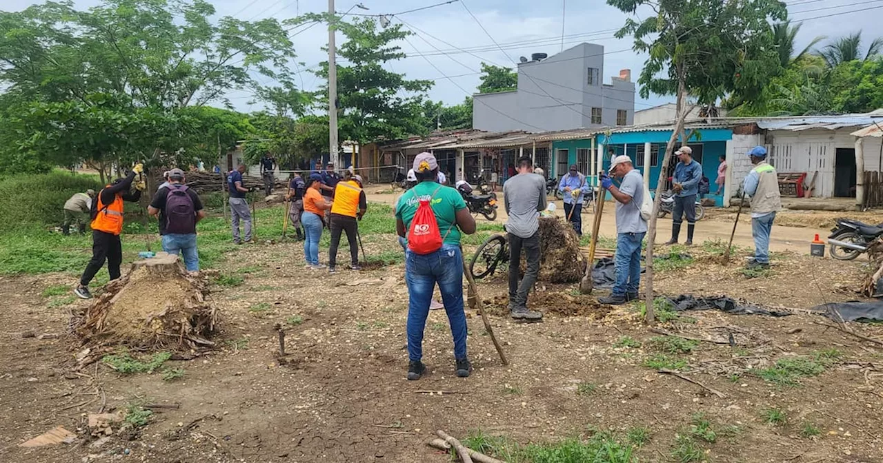 EPA celebra cumpleaños de Cartagena con la siembra de casi 500 nuevos árboles