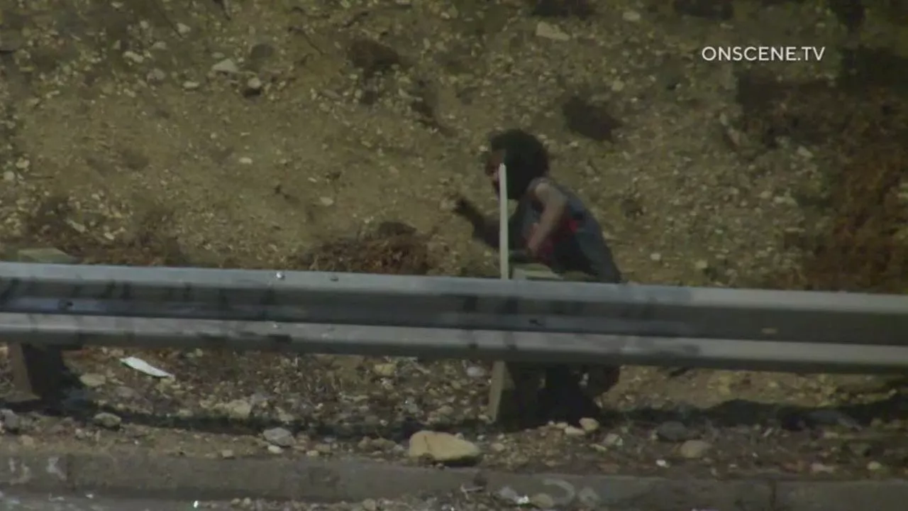 Rocks thrown on 110 Freeway: Motorcyclist crashes, cars damaged in South LA