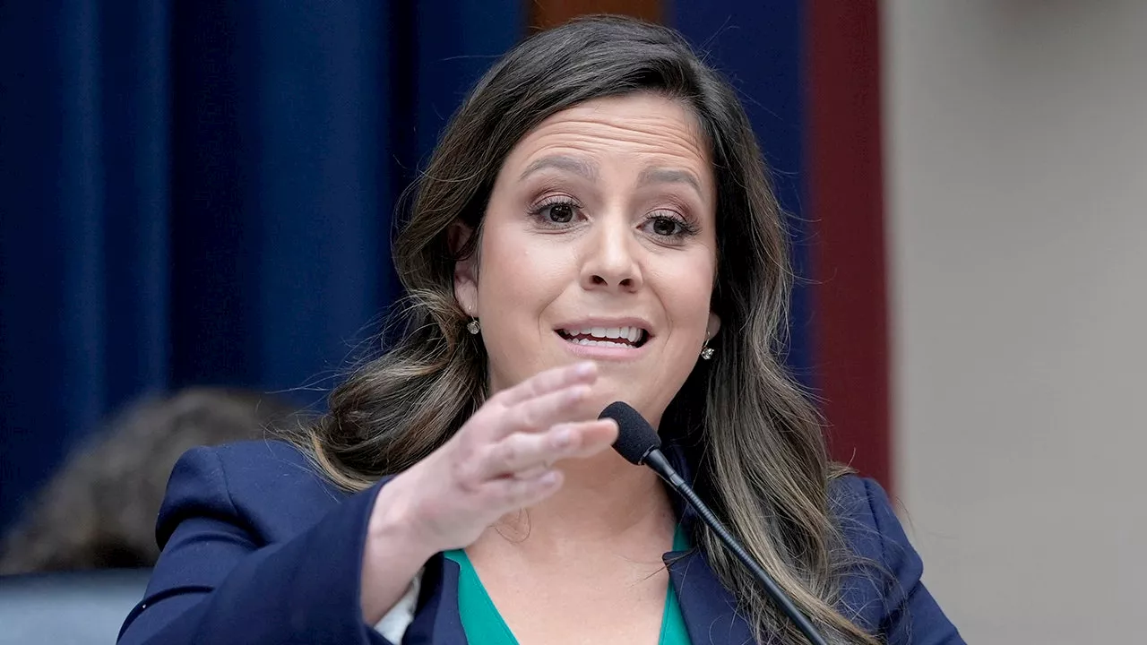 Stefanik slams 'sham' Trump trial verdict as 'corrupt' and based on 'zombie' case