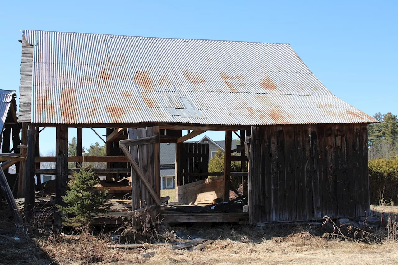 While waiting for land back, Pikwàkanagàn First Nation is opting to buy back