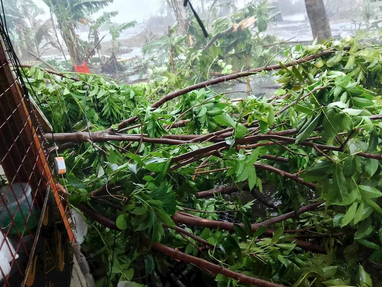 NDRRMC: Over P21M agri damage reported due to Aghon