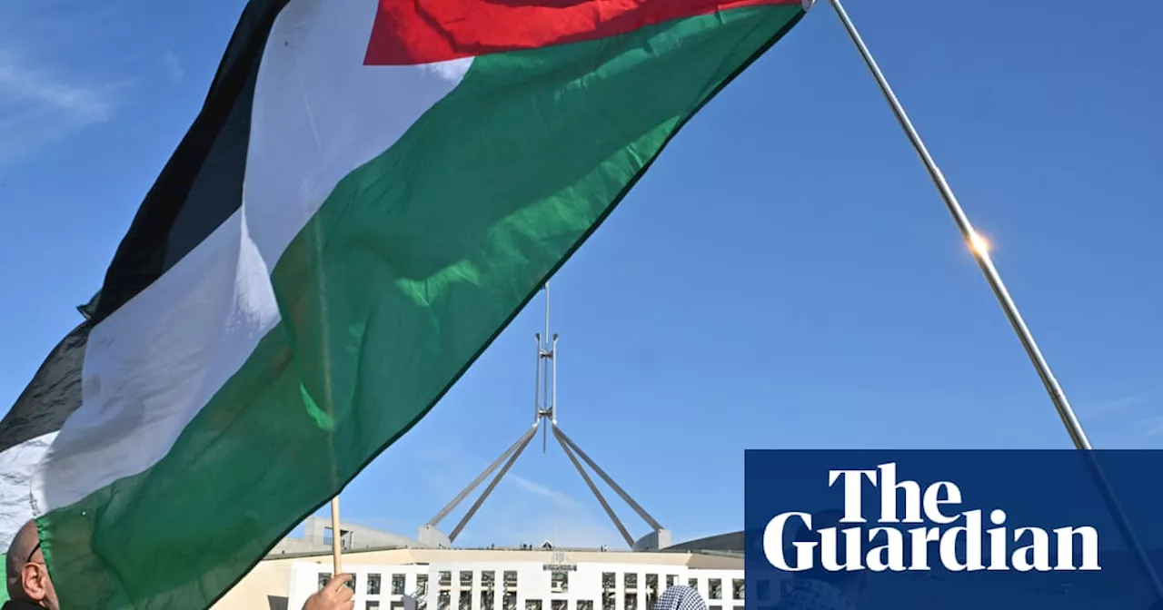 Hundreds of Australian public servants call on government to ‘cease all military exports to Israel’