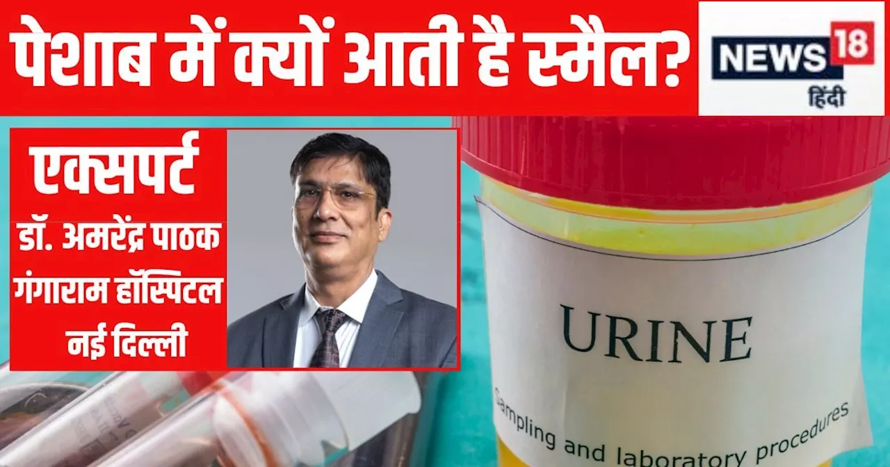 क्या पेशाब में स्मैल आना किसी बीमारी का संकेत? यूरोलॉजिस्ट ने बताई हकीकत, तुरंत दूर करें कंफ्यूजन