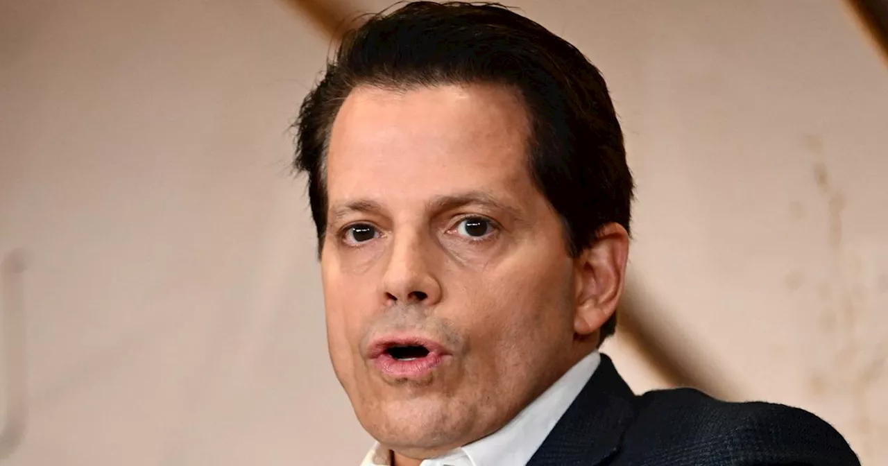 Anthony Scaramucci Reveals 'Nervous Tic' That Shows Trump Is Feeling The Heat Right Now