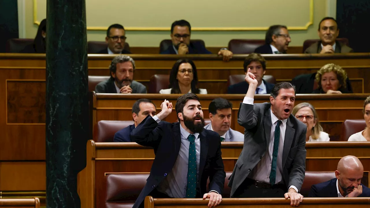 La pelea en el Congreso entre los diputados de Vox y Sumar