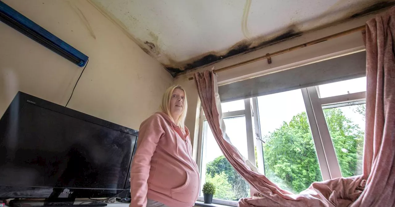 ‘Panicking for breath’: How a cold, damp and overcrowded home affects one mother and her children