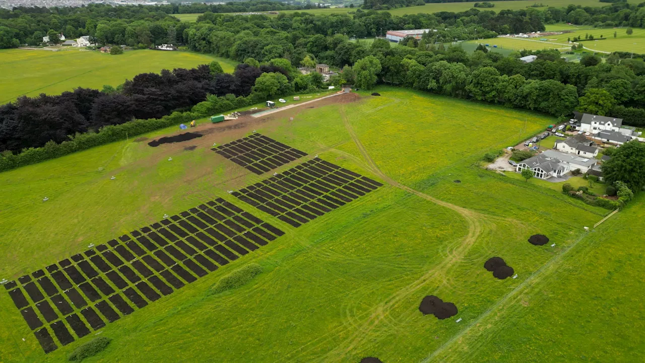 Thousands protest over Roots Allotment's plans for 600 plots on edge of Bristol