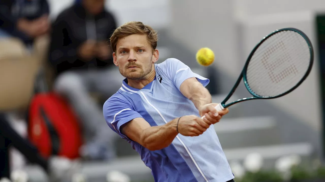 French Open: Alcohol banned in stands after fan spits chewing gum at David Goffin