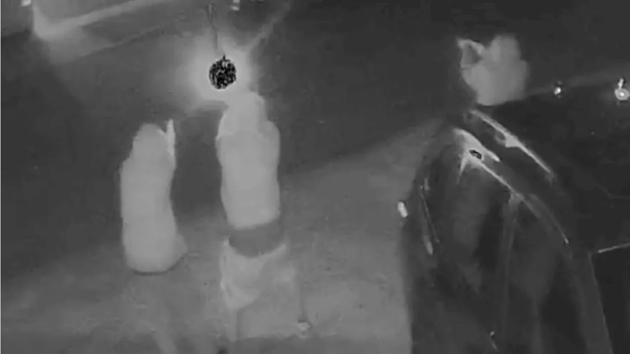 BCSO asking for your help in identifying three suspects seen in video firing multiple rounds