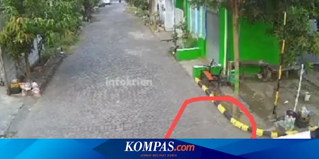 Bayi Tertabrak Fortuner di Sidoarjo, Apakah Orangtua Berpeluang Dipidana?