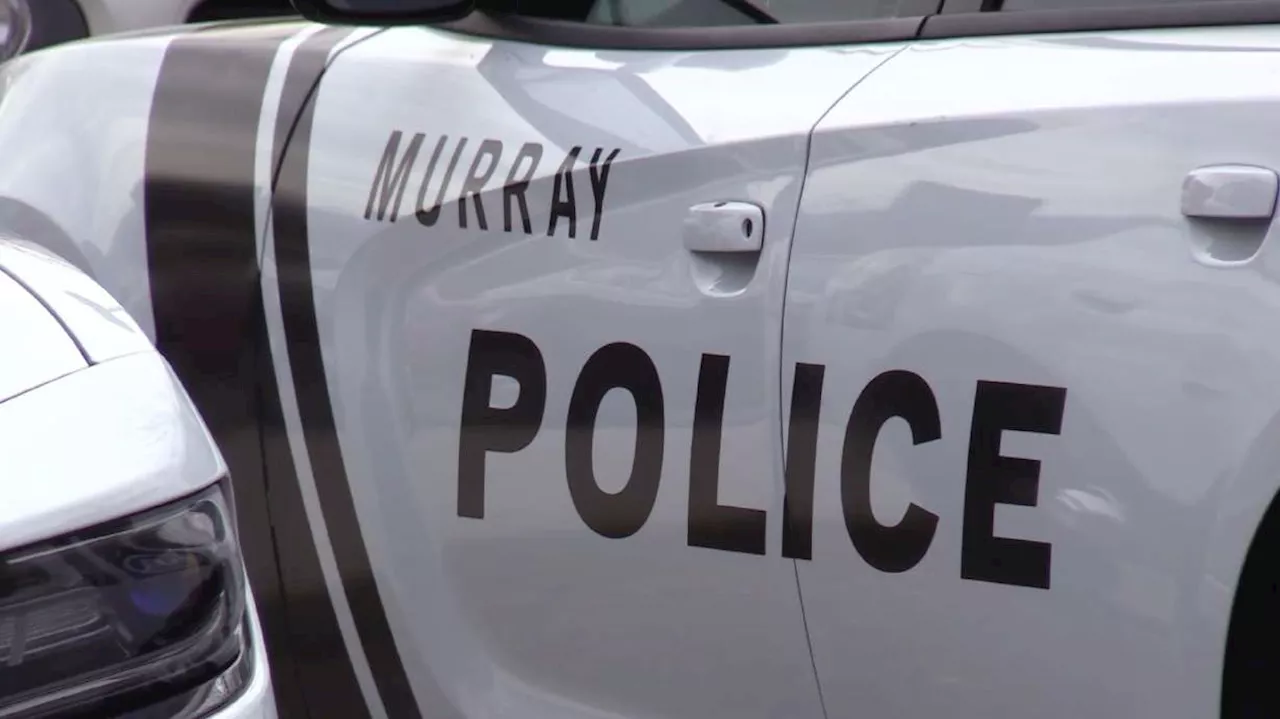 Murray man charged with using hammer in attempt to kill his mother