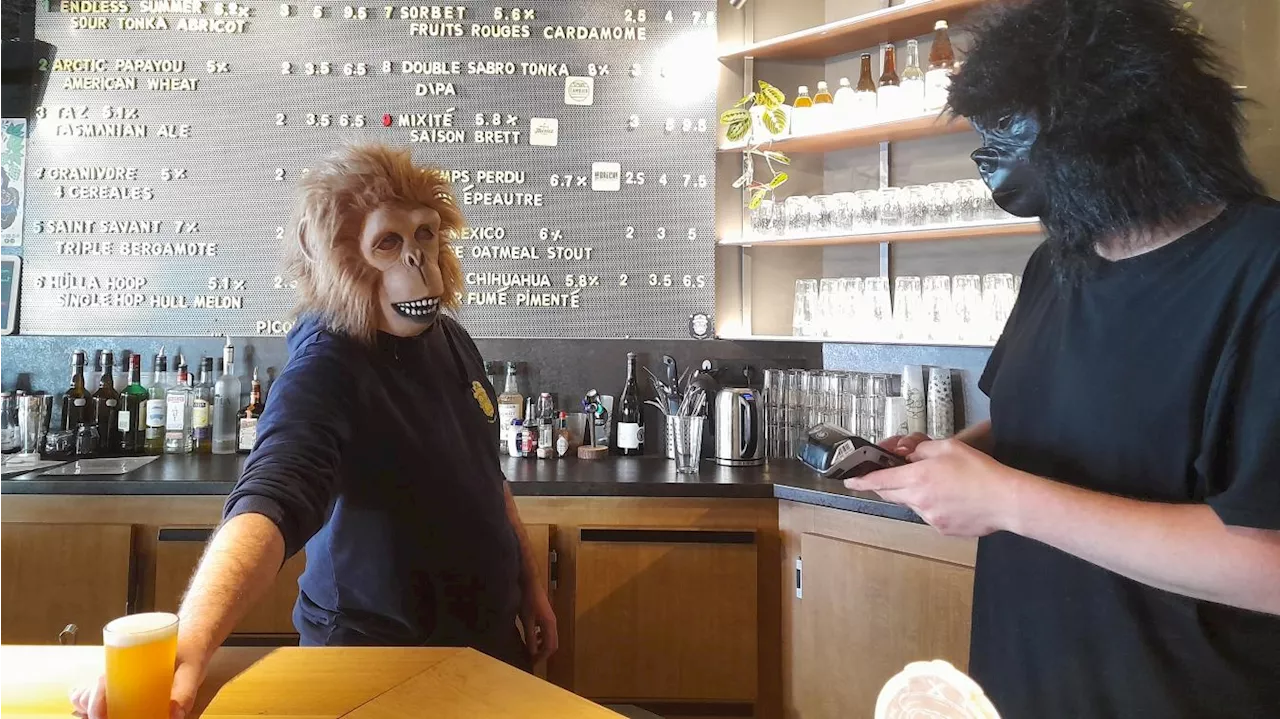 Micro-brasserie et bar à Lille : le Singe Savant, une philosophie et déjà quelques bougies