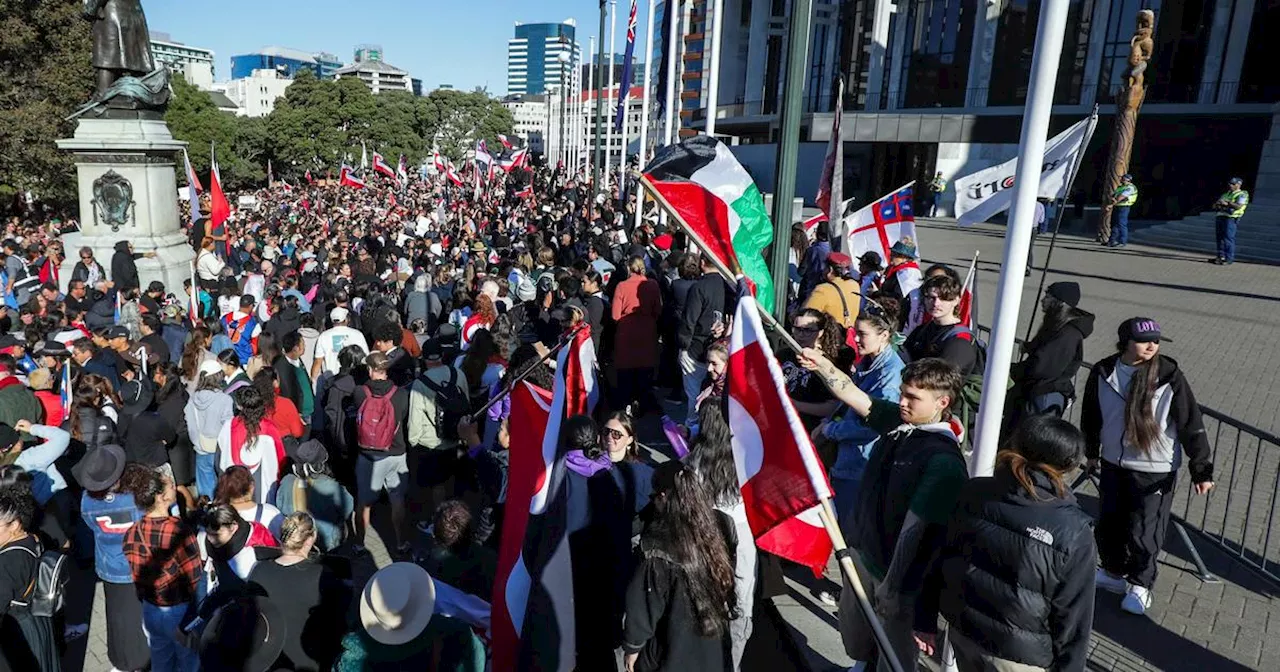 Nouvelle-Zélande: des manifestants protestent contre la politique «anti-Maoris» du gouvernement