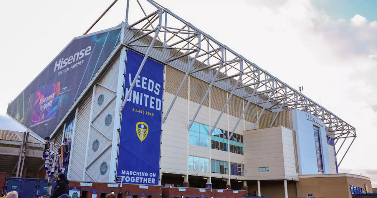 Red Bull deal with Leeds United makes sense as fears should be allayed