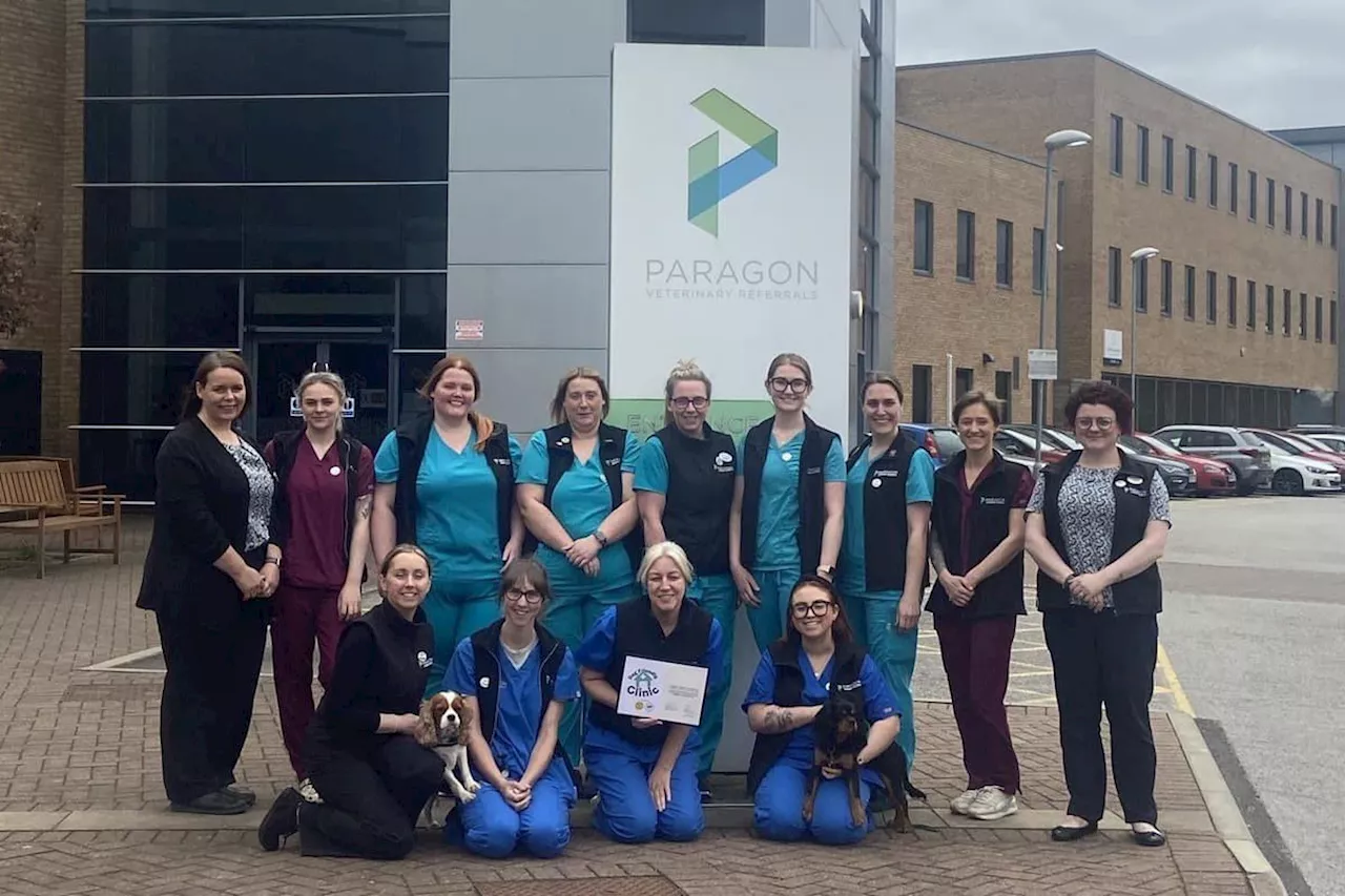 Yorkshire animal hospital is barking up the right tree for canine welfare