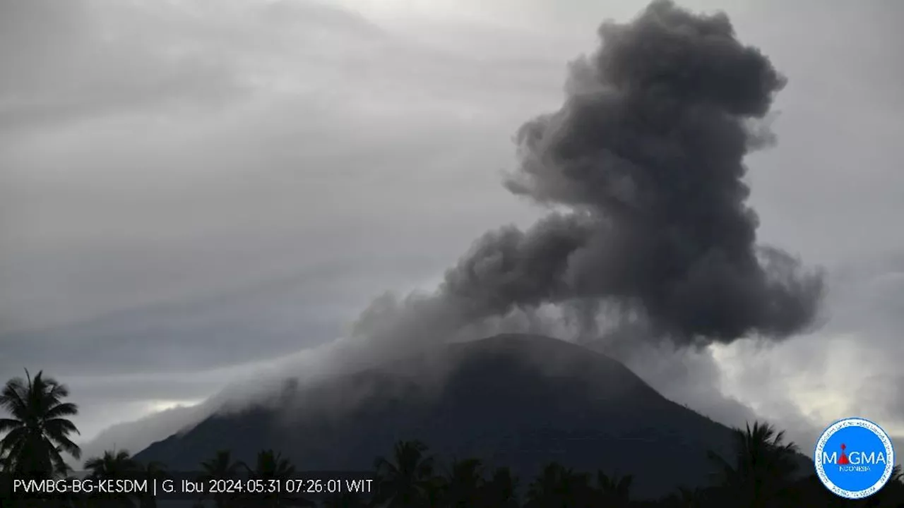 Gunung Ibu Erupsi Lagi, Semburkan Abu Vulkanik 800 Meter ke Arah Barat Daya